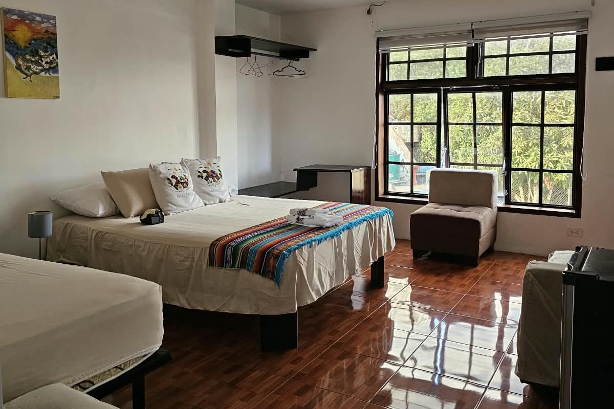 A hotel room with a bed, a chair, a desk, and a window with a view of greenery.