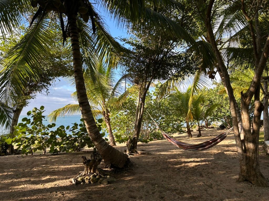 A hammock between palm trees on a sandy beach with a clear sky.