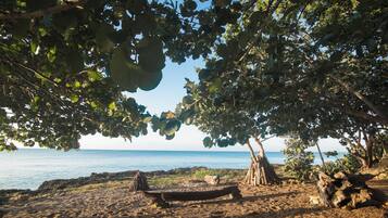 A beach scene with a hammock under a tree, rocky shoreline, and calm sea.
