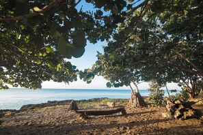 Escena de playa con una hamaca bajo un árbol, costa rocosa y mar tranquilo.