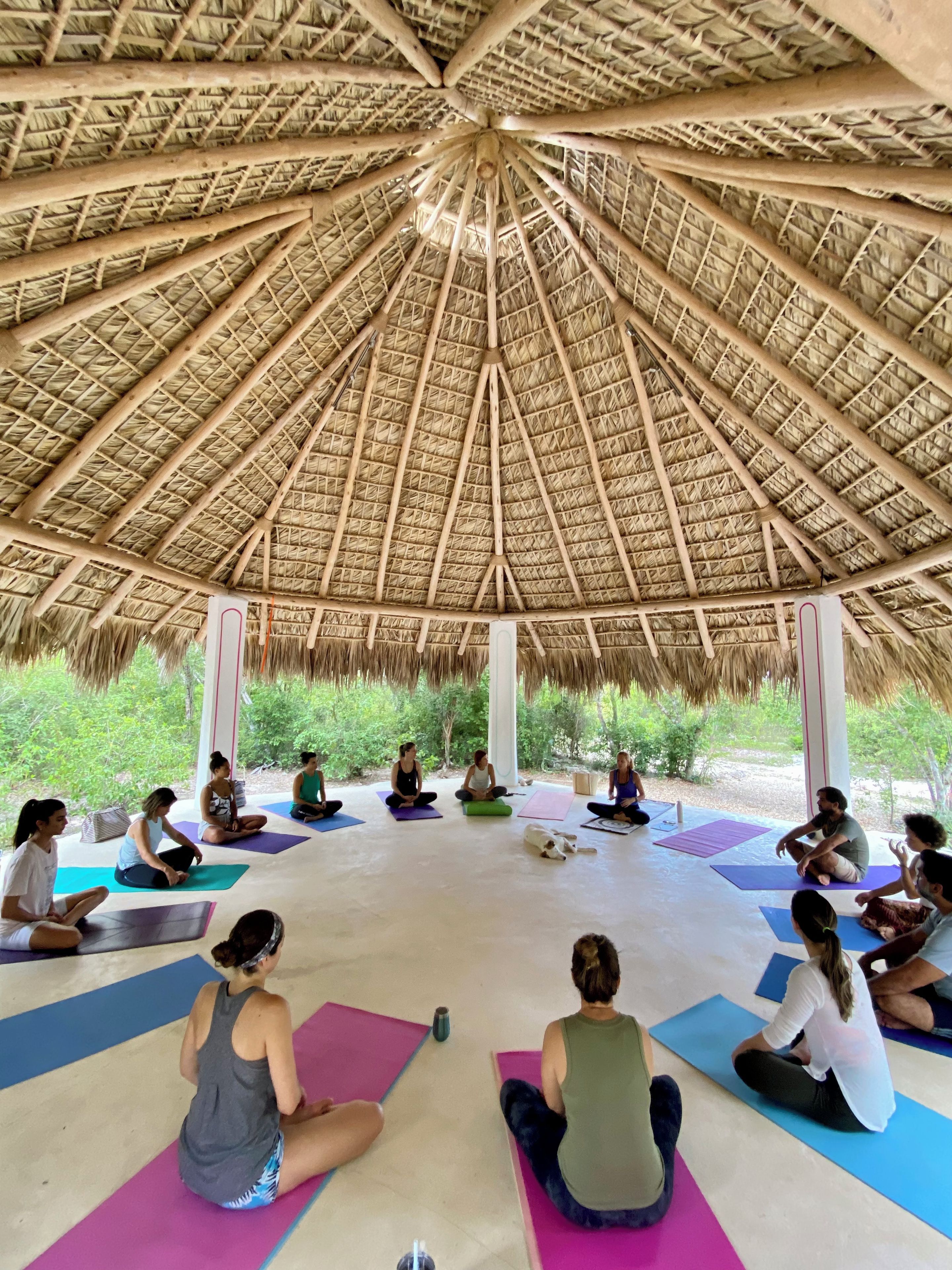 A group of people seated on yoga mats under a thatched roof structure.
