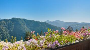 Un paysage montagneux avec une barrière en bois au premier plan, agrémenté de différentes sortes de fleurs.