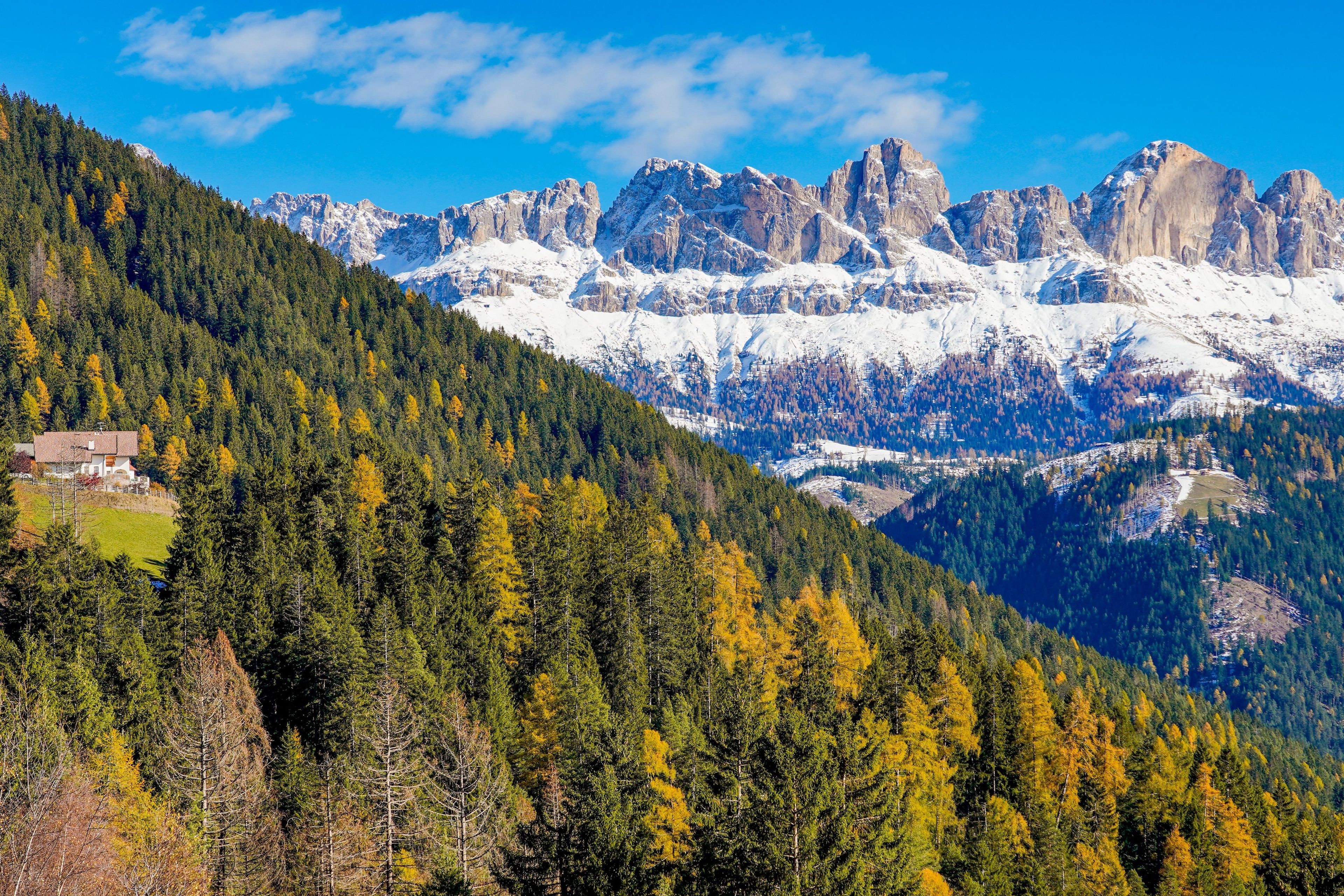 A mountainous landscape with a house on a hillside, surrounded by dense forests and snow-capped peaks.