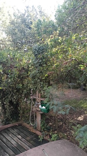 A garden with a wooden structure, possibly a gazebo, surrounded by dense foliage and a small pond. - Cap Ferret maison familiale, plage à 5 mn et proche des commerces. (Lège-Cap-Ferret)