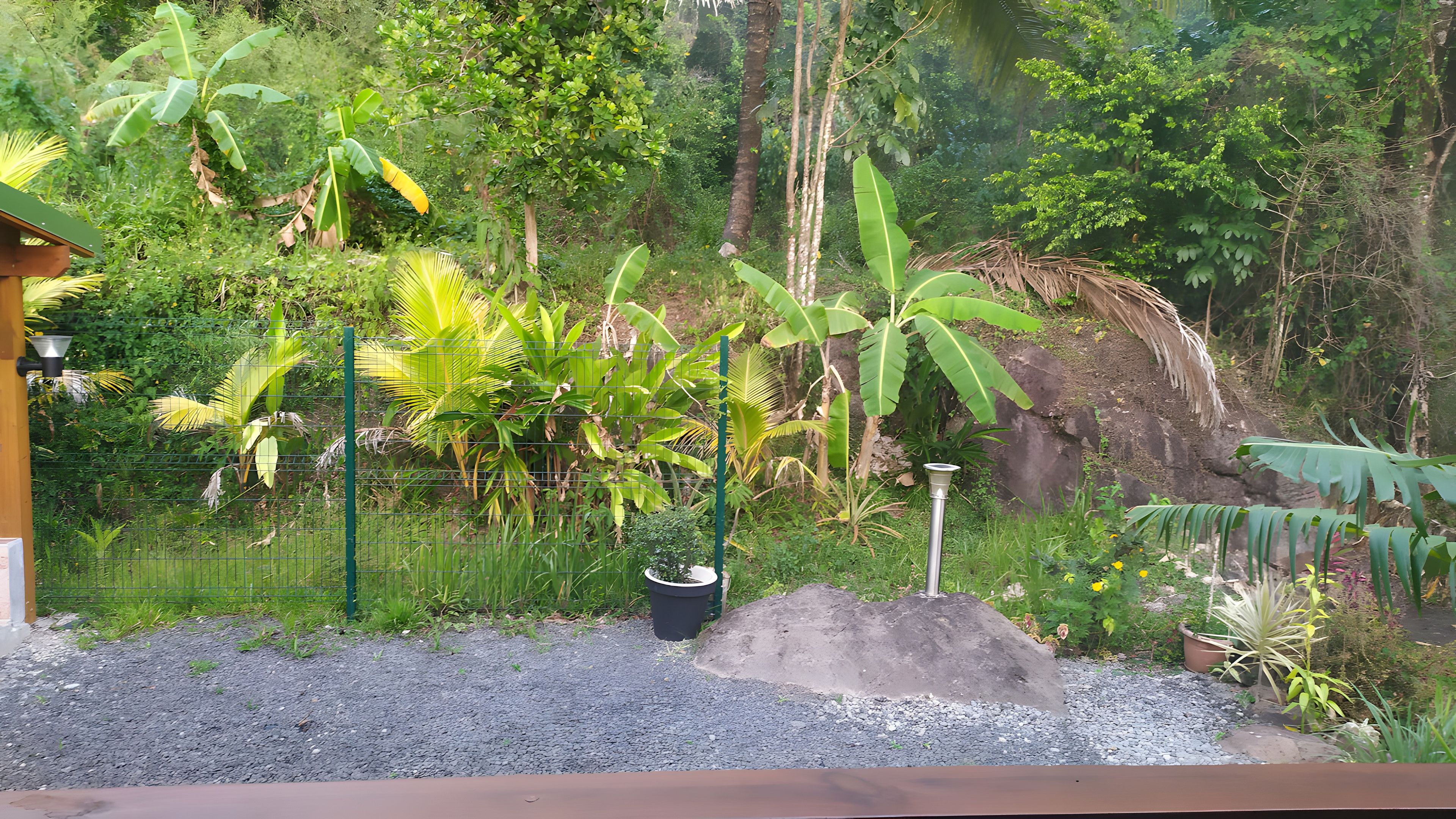 Un jardin où l’on trouve une variété de plantes, une clôture en métal et un chemin en béton.