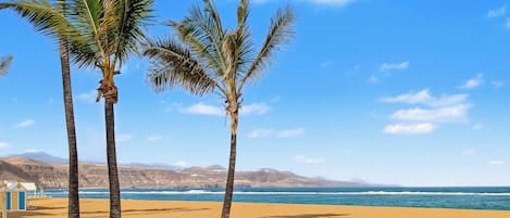 A beach with palm trees and a clear sky.