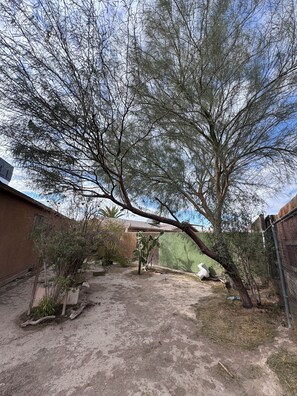 A fenced backyard with a large tree, a concrete patio, and a building in the background. - Next  to the strip cozy home in Vegas (North Las Vegas)