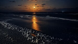 On the beach - Welcome to The White Pearl, a bespoke, one-of-a-kind beach view pirate escape! (Bolivar Peninsula)