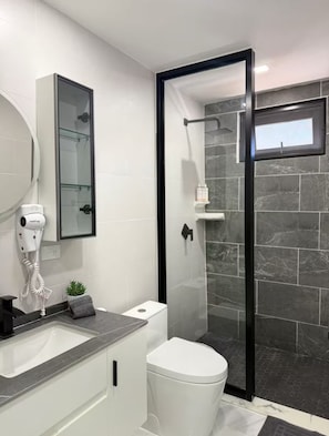 Ein modernes Badezimmer mit einer Duschkabine, einer weißen Toilette und einem Waschbecken mit Spiegel.