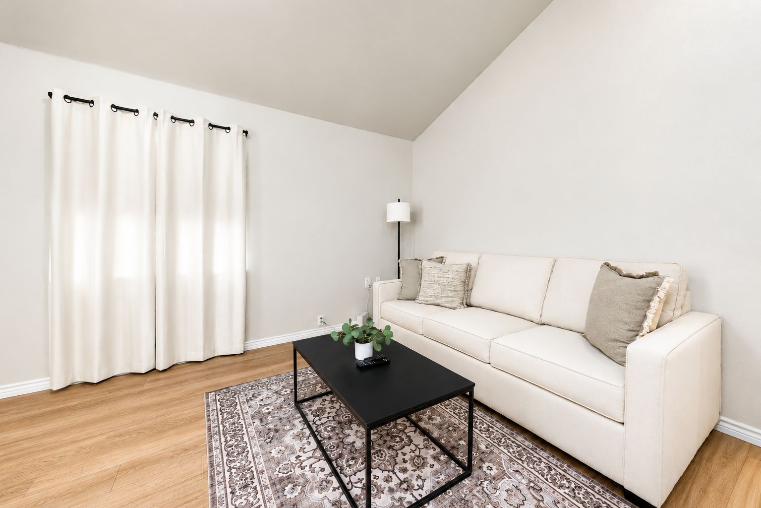 A living room with a white sofa, a black coffee table with a plant, a patterned rug, and a white wall with a black curtain rod.