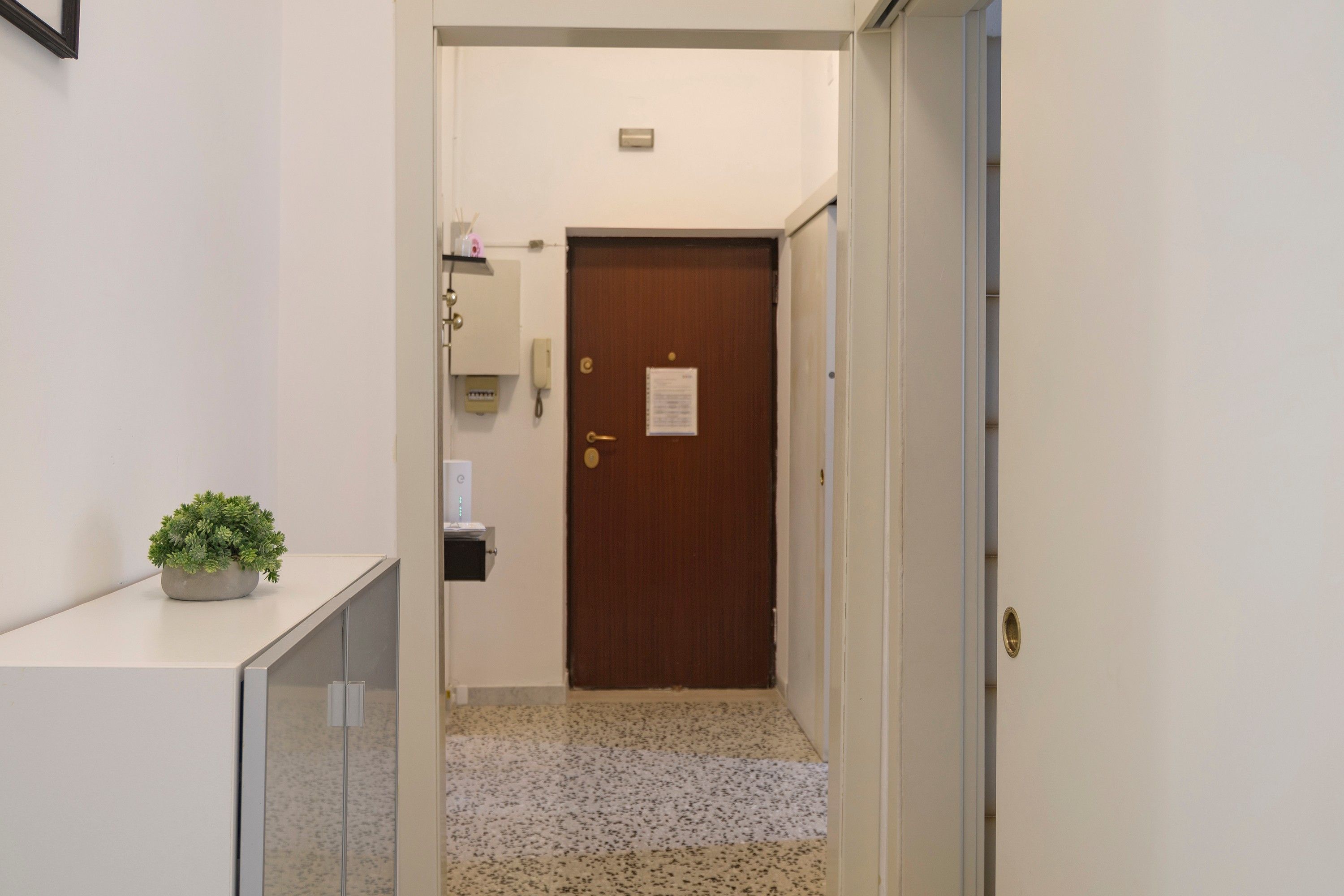 Un corridoio con una porta in fondo, una piccola pianta su un ripiano e un telefono fissato al muro.