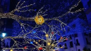 Een boom versierd met lichtjes en decoraties, omringd door gebouwen.