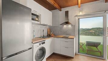 A modern kitchen with a built-in washer, a wooden ceiling, and a view of a green landscape through a glass door.