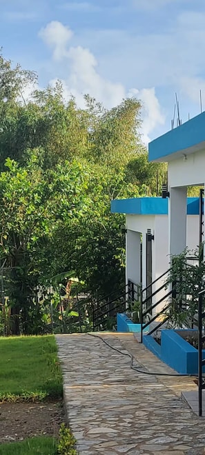 A pathway leading to a building with a blue and white exterior, surrounded by lush greenery.