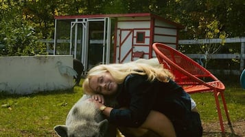 A person crouching next to a pig in a grassy area with a red chair and a small building in the background.