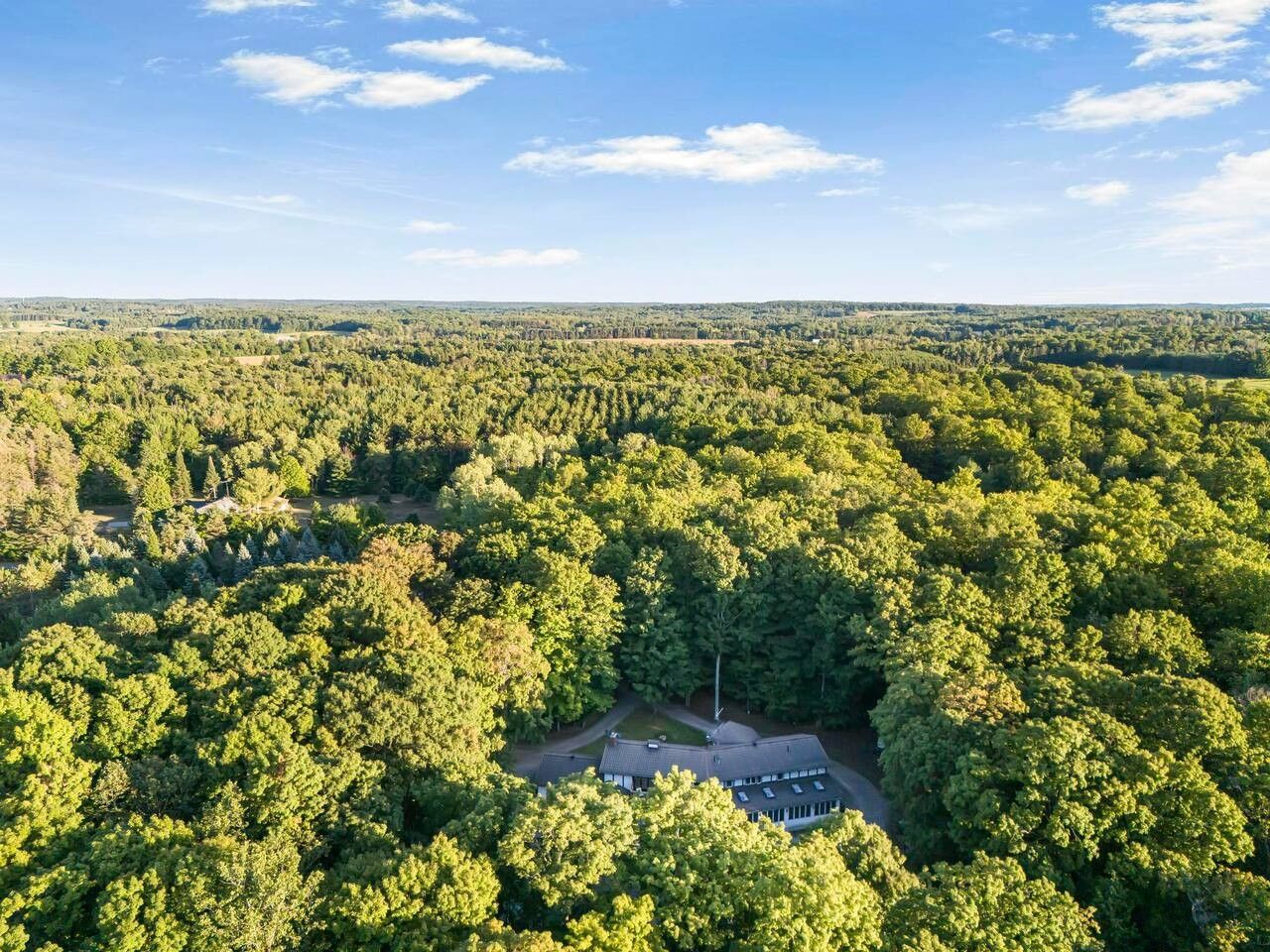 An aerial view of a forested area with a building surrounded by dense trees.
