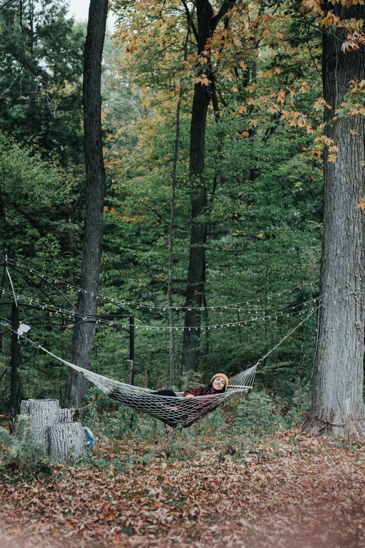 A hammock in a forest with trees and a path.