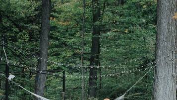 A hammock in a forest with trees and a path.