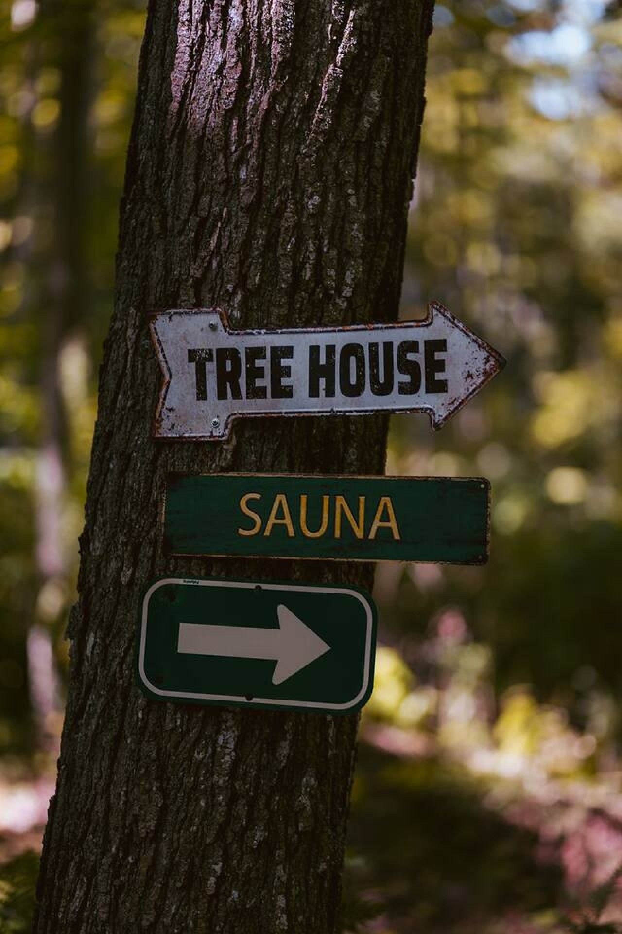 Directional signs for a treehouse and sauna pointing to the right.