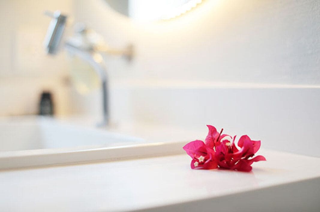 Een badkamer met een wit wastafel en een enkele rode bloem op het aanrecht.
