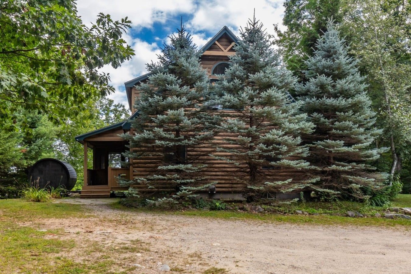 A log cabin with a porch, surrounded by evergreen trees.