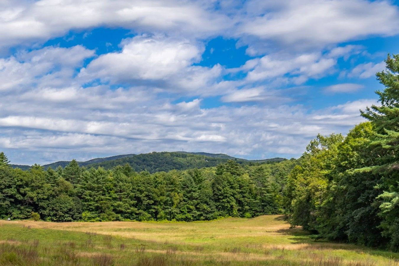 Eine natürliche Landschaft mit einer grasbewachsenen Wiese, dichtem Wald und einem Gebirge unter teils bewölktem Himmel.