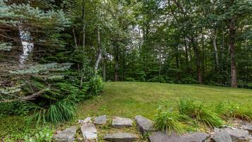 A natural landscape with a grassy area, trees, and a stone wall.