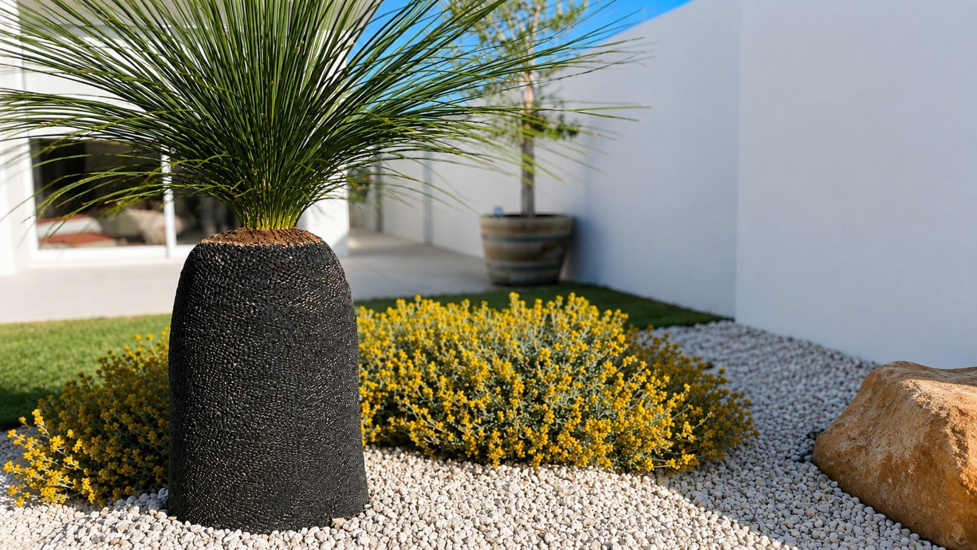 A potted plant with long green leaves in a textured black pot, surrounded by yellow flowers and white gravel.