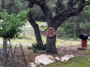 A tree with a circular plaque attached to its trunk. - PRIVATE COZY RV FOR RENT; ONLY 2 RVS ON PROPERTY, HOT TUB, CHARCOAL GRILL;SERENE (Canyon Lake)
