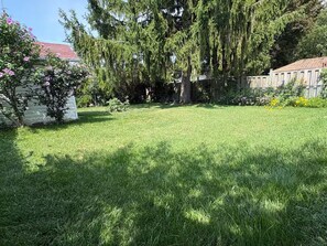 A well-maintained grassy yard with trees and flowering plants.