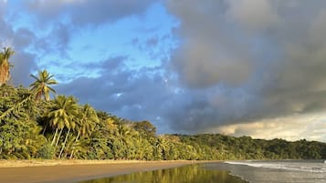 A beach with palm trees and a calm sea under a cloudy sky.