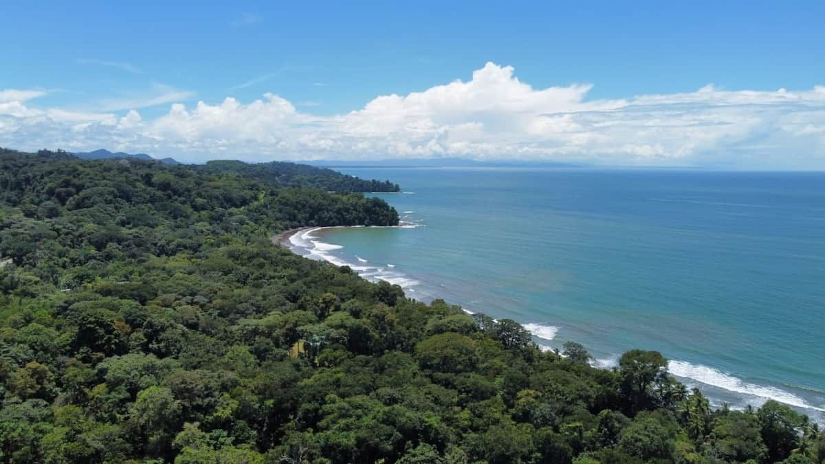 Un paysage côtier caractérisé par une végétation luxuriante et une ligne de rivage sinueuse.