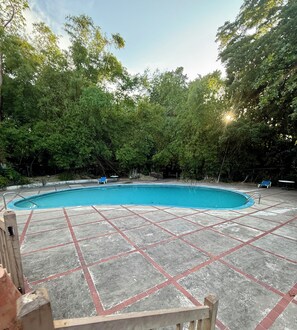 A swimming pool with a tiled deck, surrounded by trees. - Lydia’s Loft- A Cozy Private 2-Bedroom Guest Suite Located near Drax Hall (Saint Ann's Bay)