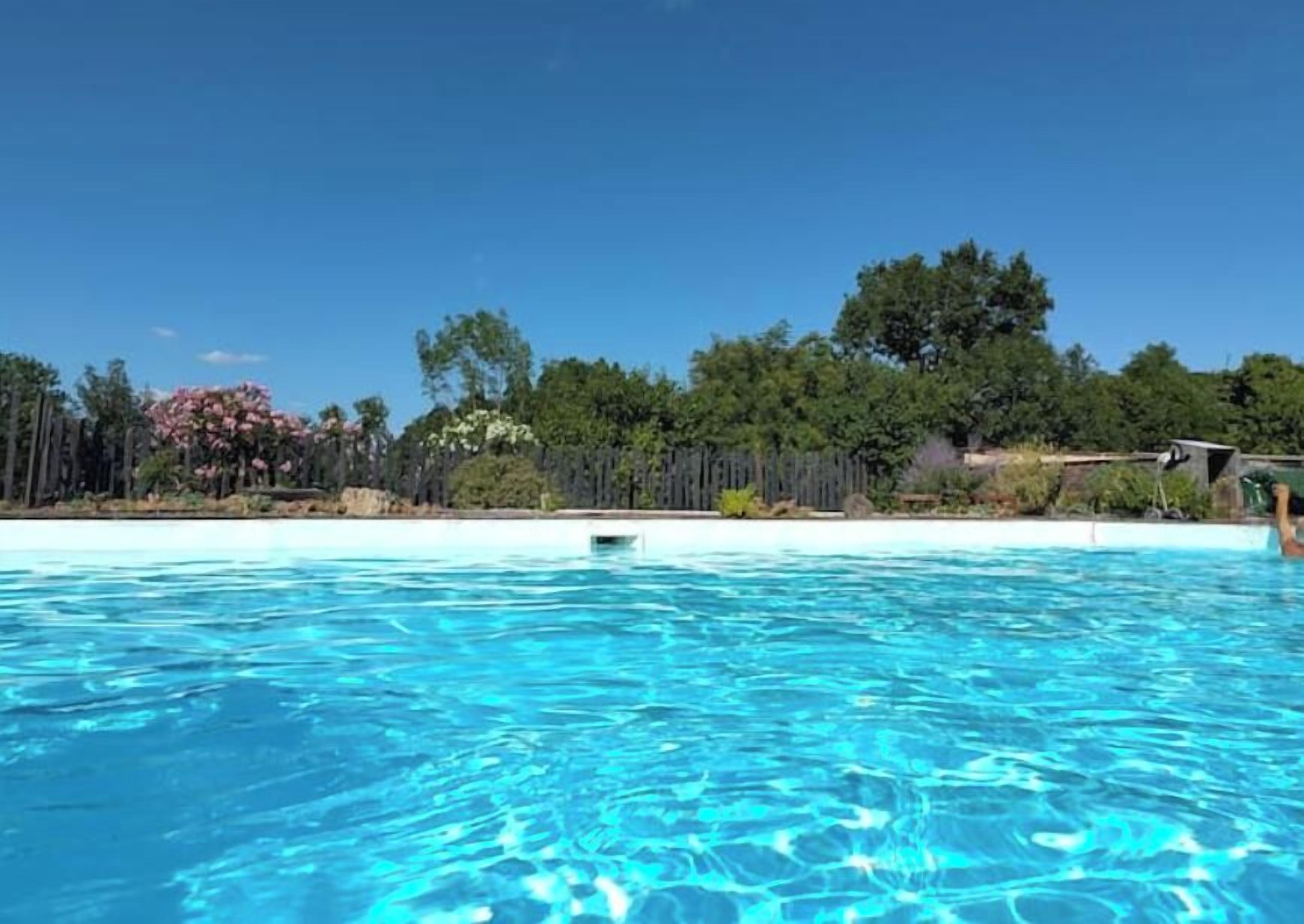 A clear blue swimming pool with a view of trees and a fence in the background.