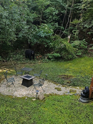 An outdoor seating area with a table and chairs, surrounded by a forested area. - 2-bedroom secluded, romantic cabin in Sevierville. Rest,relax and unwind. (Sevierville)