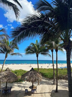 A beach with palm trees, a sandy area with chairs, and a view of the ocean. - Largest 2 bd ocean view @ the palm beach Marriott (Riviera Beach)