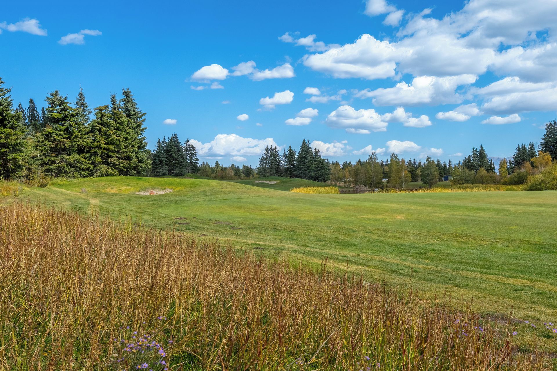 Een golfbaan met een heldere lucht, groen gras en bomen op de achtergrond.