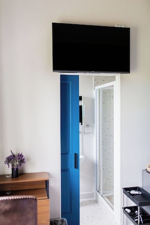 A room with a mounted television, a blue door, a shower area, and a small table with a vase.
