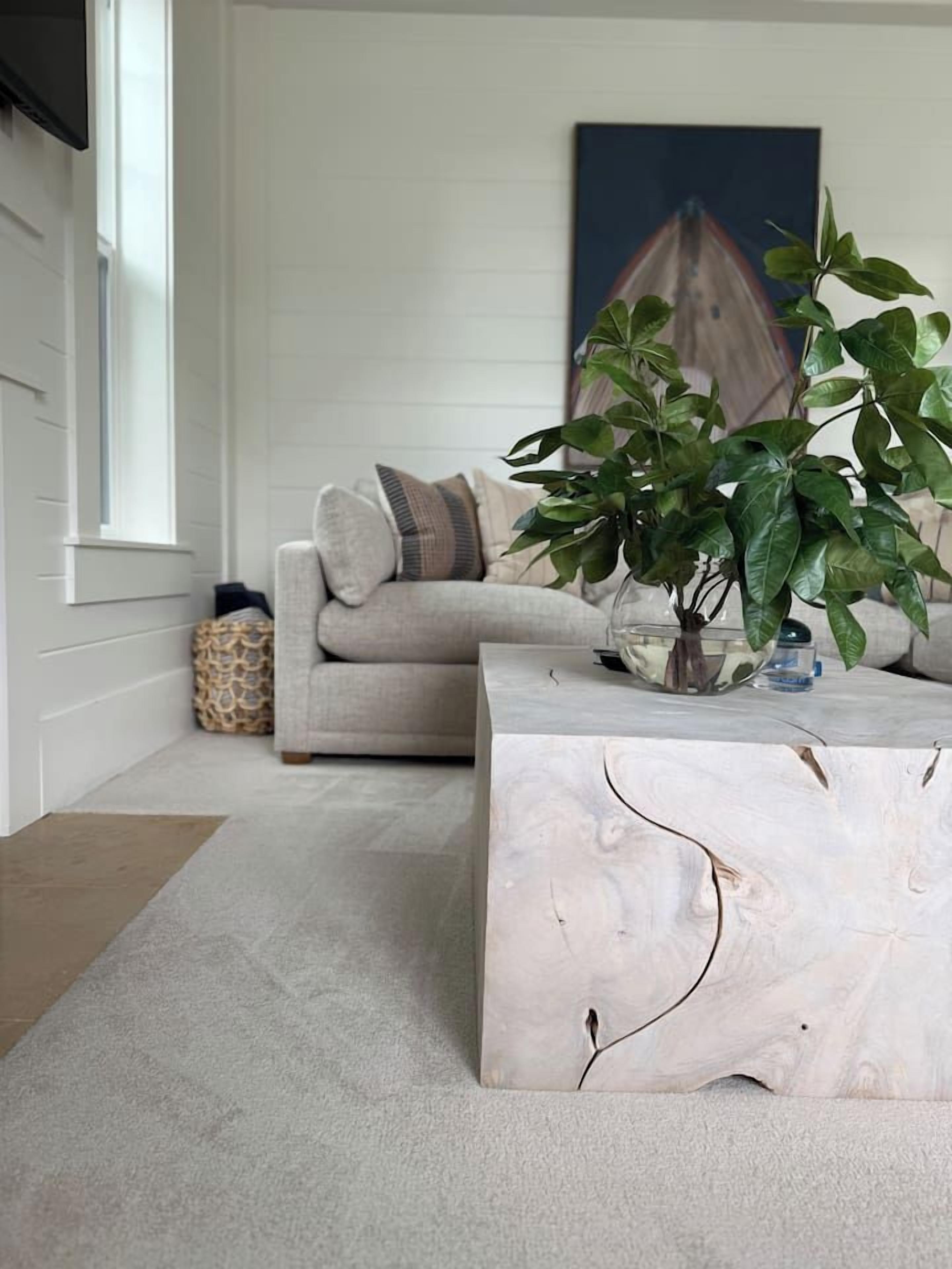 Un salon avec un canapé, une table basse et une plante.