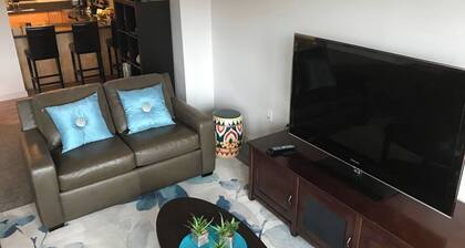 Modern Apt #402 - a Block from St Pat's Hospital