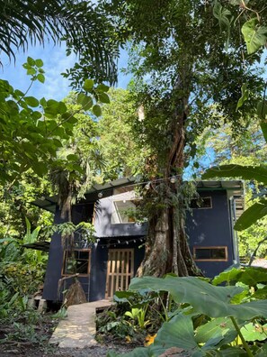 A house surrounded by dense foliage, with a large tree in front and a clear sky above. - Cabin In The Wata (Punta Cocles)