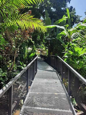 A metal bridge with a mesh floor surrounded by dense tropical foliage. - Cabin In The Wata (Punta Cocles)