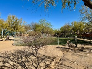 A fenced outdoor area with trees and a cactus. - Dove Mountain #12361 (Marana)