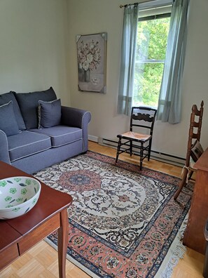 Ett vardagsrum med en soffa, en fåtölj, ett bord med en skål på, en mönstrad matta och ett fönster med gardiner.