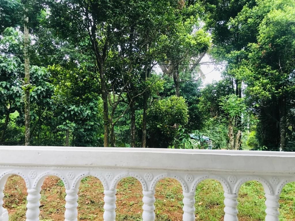 Una barandilla blanca con vistas a un follaje verde denso y árboles al fondo.
