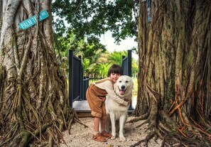 A person hugging a large white dog in a natural setting with tree roots and a sign that reads 'PALM TREE'. - Cozy Renovated Studio on Palm Tree & Alpaca / Llama Farm (Palm Beach Gardens)