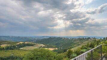 Paesaggio di un vigneto con filari a terrazza e vista sul mare in lontananza.