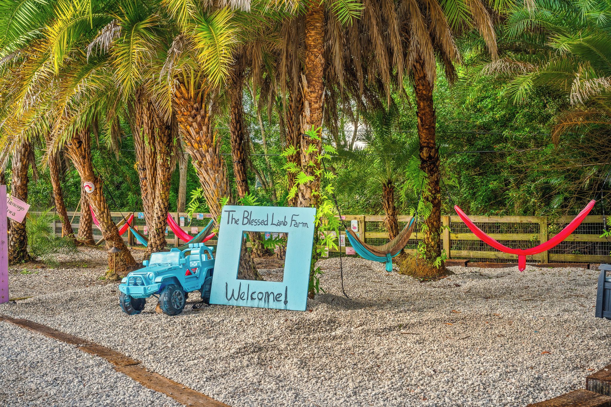 A sign welcoming visitors to The Blessed Lamb Farm, surrounded by palm trees and a gravel path.
