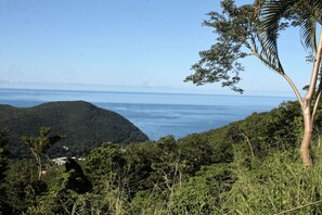 A lush green landscape with a view of the ocean.