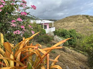 Una casa de façana blanca i detalls rosats, envoltada de verdura exuberant i plantes en flor.